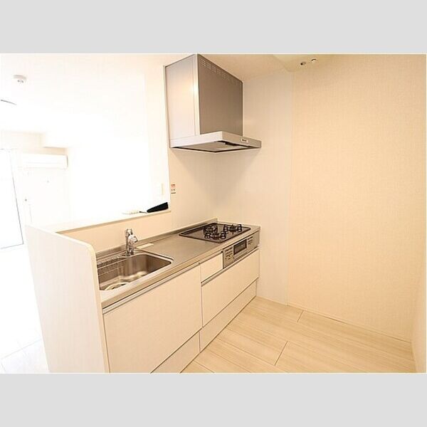 キッチン (対面システムキッチン(ガスコンロ付))