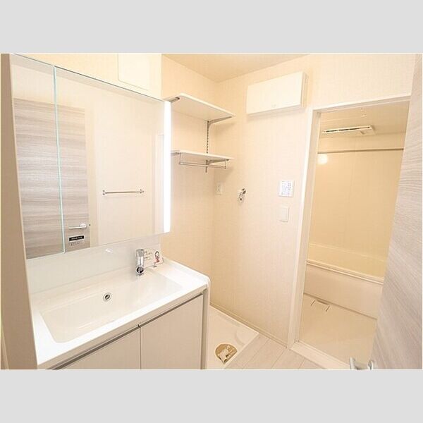 洗面所 (洗髪洗面化粧台)