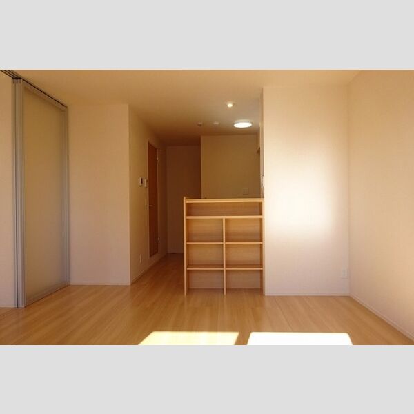 居室・リビング (リビング11.4帖)