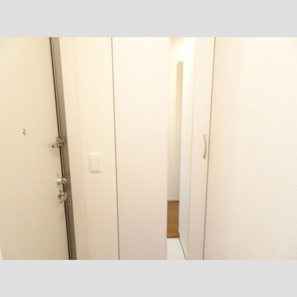 玄関 (トールタイプの姿見付シューズボックス)