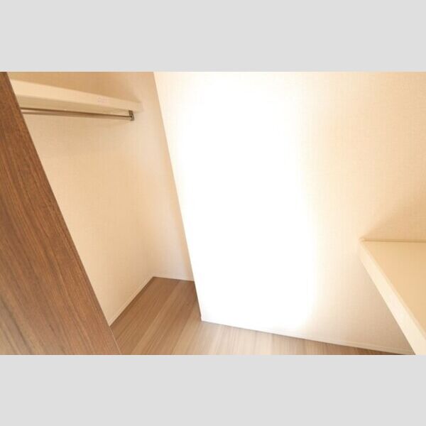 収納 (ウォークインクローゼット)