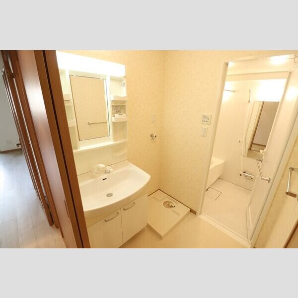 洗面所 (洗髪洗面化粧台)