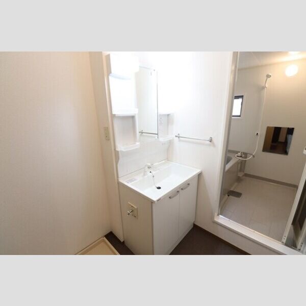 洗面所 (洗髪洗面化粧台)