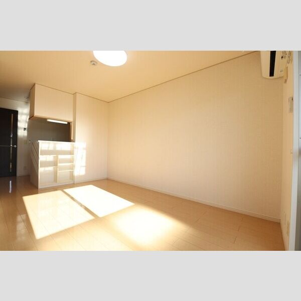 その他 (リビング全景(別角度))