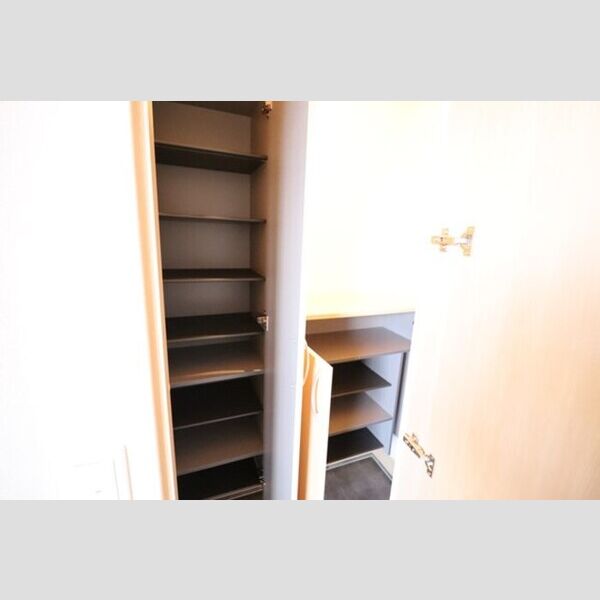 玄関 (トールタイプの姿見付シューズクローク)