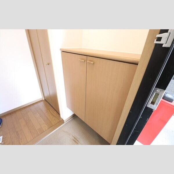 玄関 (シューズボックス)