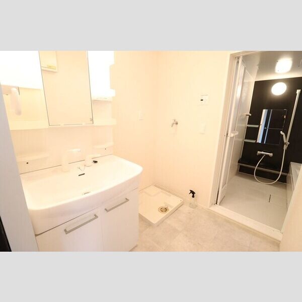 洗面所 (洗髪洗面化粧台)