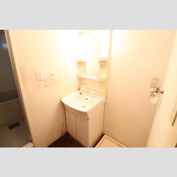 洗面所 (洗髪洗面化粧台)