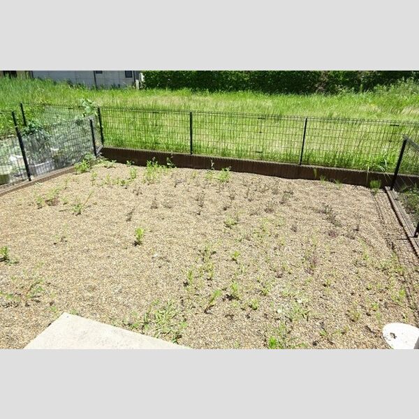 その他 (専用庭)