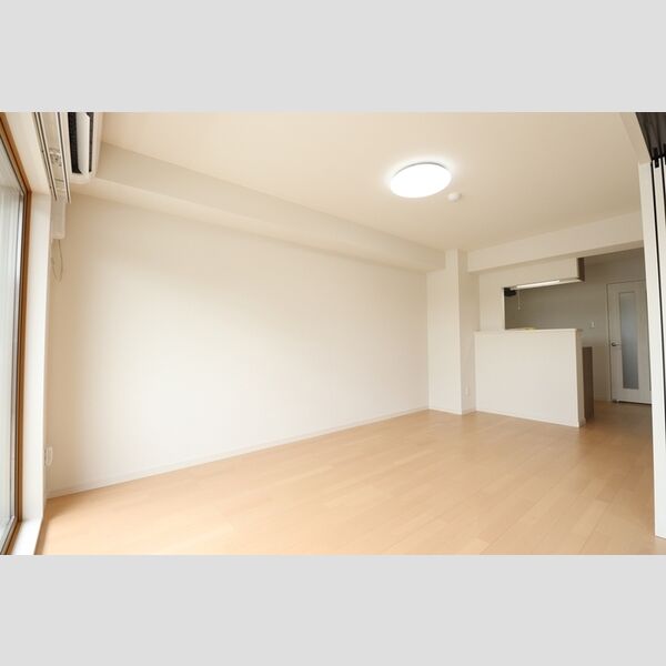その他 (リビング全景(別角度))