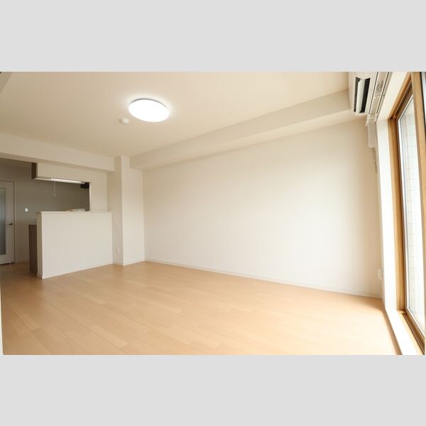その他 (リビング全景(別角度))