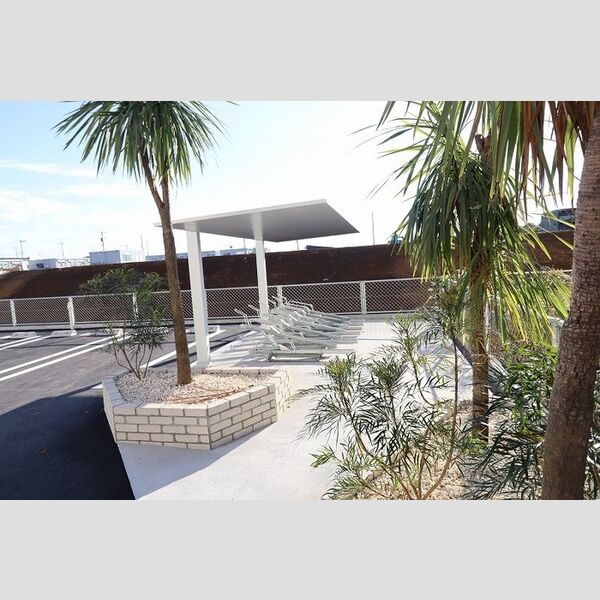 現地周辺 (駐輪場)