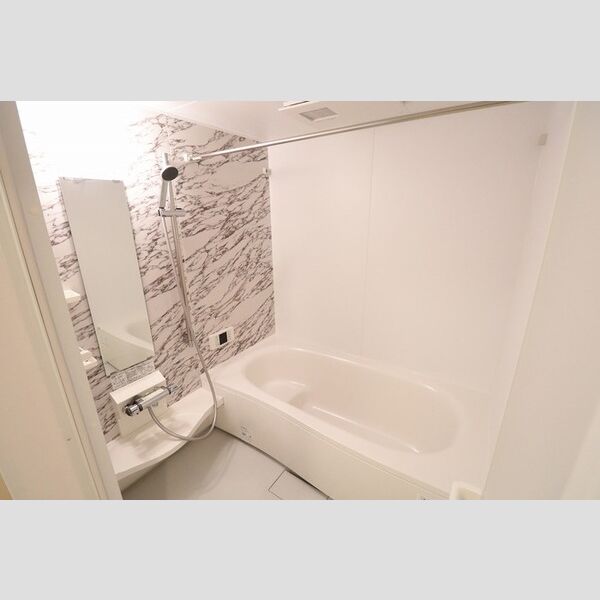 バス (一坪タイプ浴室(追い焚き機能付き))