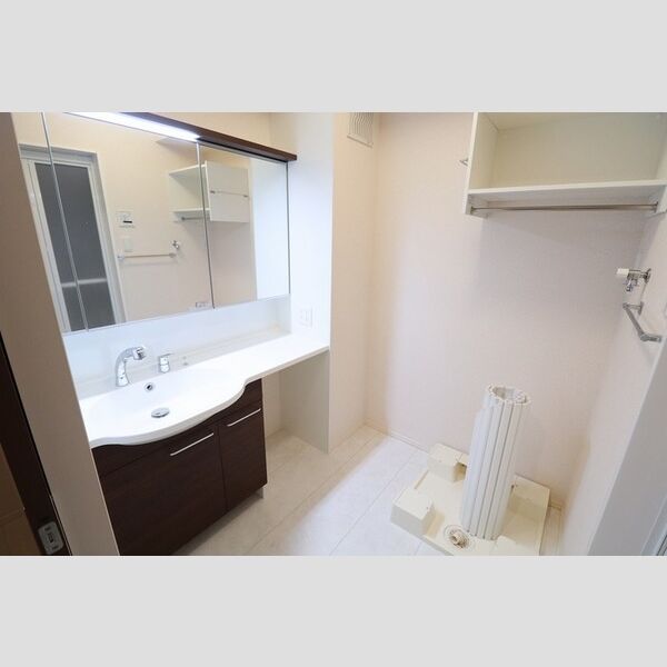 洗面所 (洗髪洗面化粧台・室内洗濯機置場)