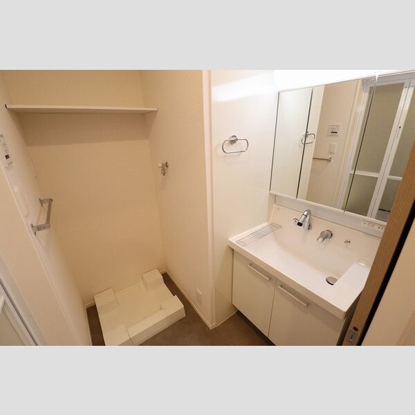 洗面所 (三面鏡付き洗面化粧台)