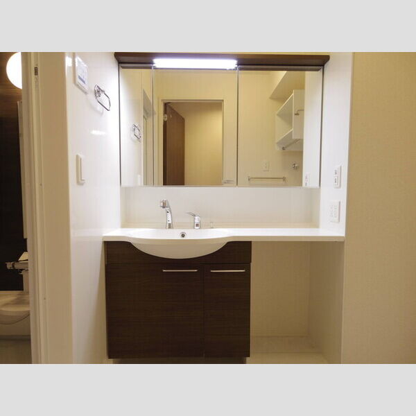 洗面所 (大型洗面化粧台)