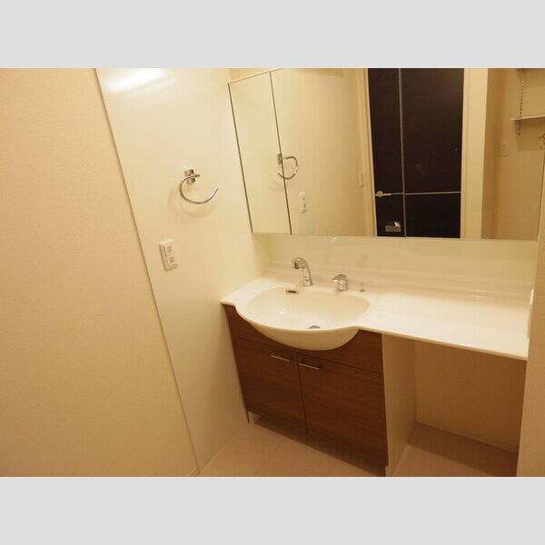 洗面所 (大型洗面化粧台)