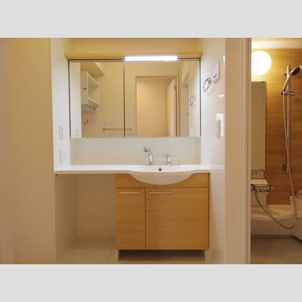 洗面所 (大型洗面化粧台)