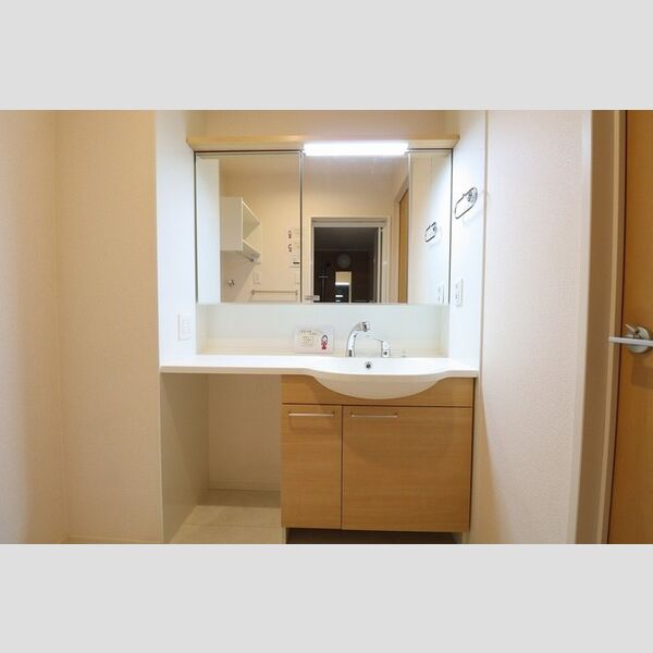 洗面所 (洗髪洗面化粧台)