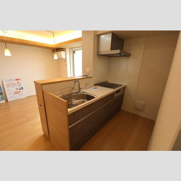 キッチン (対面式システムキッチン(IH仕様・タッチレス水栓))