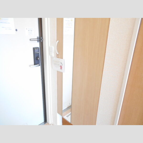 玄関 (シューズクローク(姿見ミラー付き))