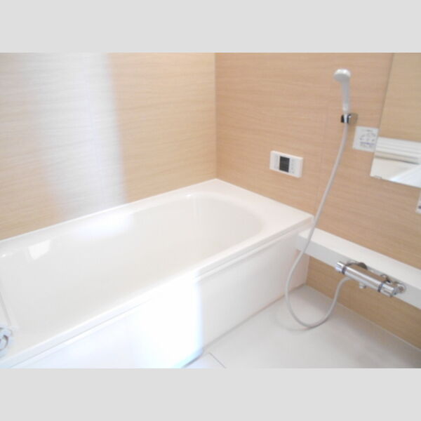 バス (一坪風呂)