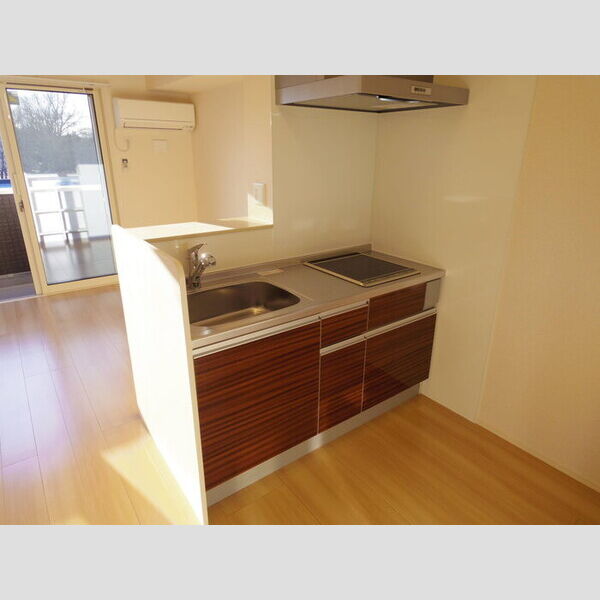 キッチン (カウンターキッチン(IHクッキングヒーター付き))