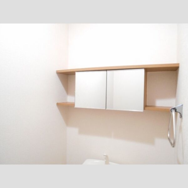 その他 (トイレ収納(鏡付き))
