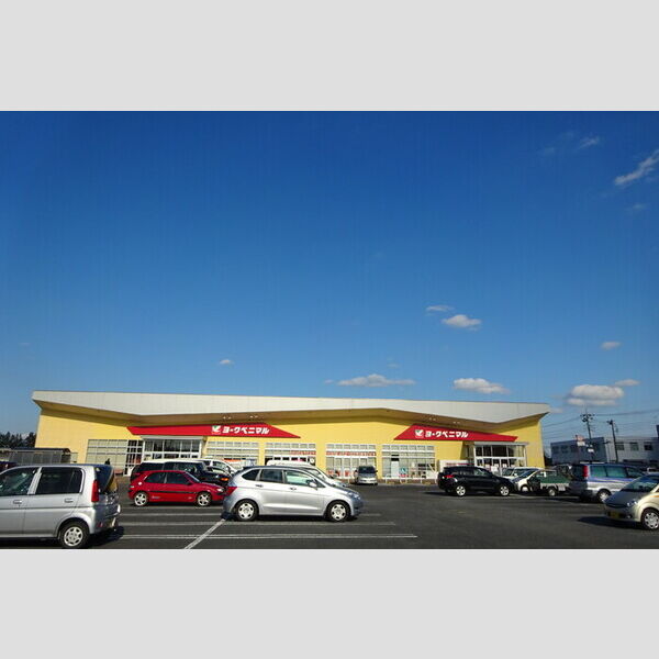 現地周辺 (ヨークベニマルひたちなか田彦西店(732m))