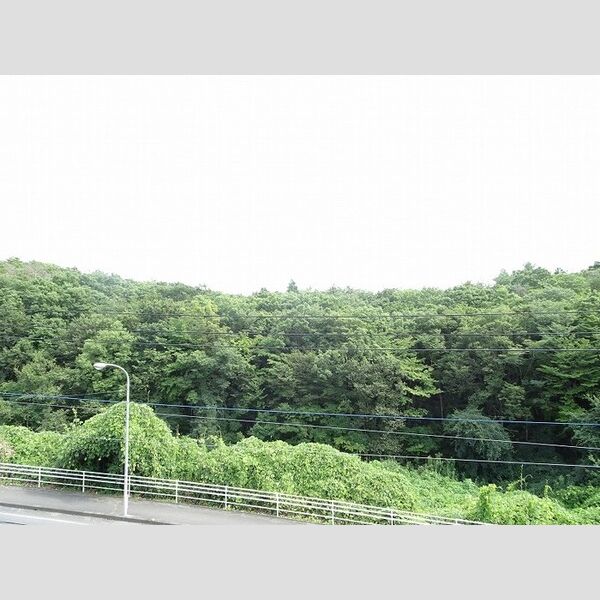 現地周辺 (お部屋からの眺めです)