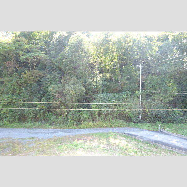 現地周辺 (お部屋からの眺めです)