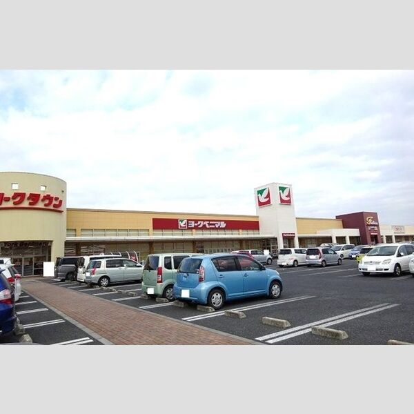 現地周辺 (ヨークベニマルひたちなか店(1257m))