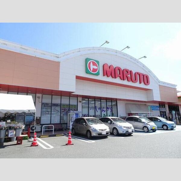 現地周辺 (マルトSC滑川店(788m))
