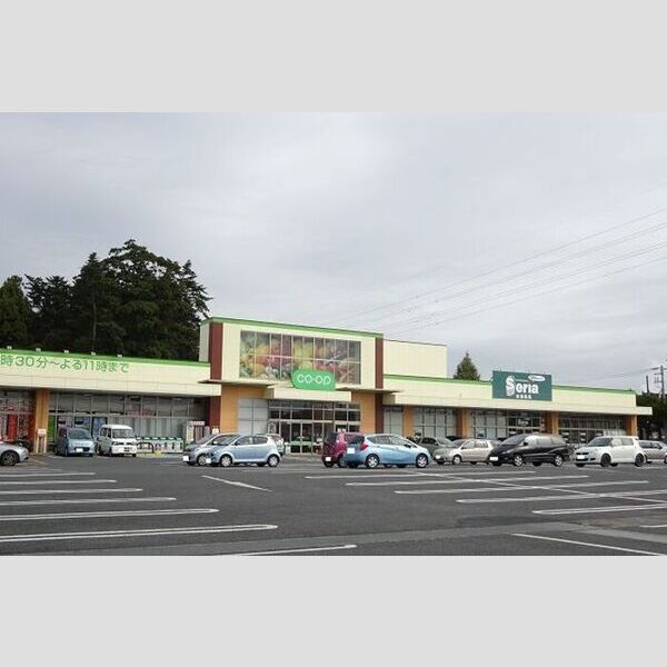 現地周辺 (コープひたちなか店(621m))