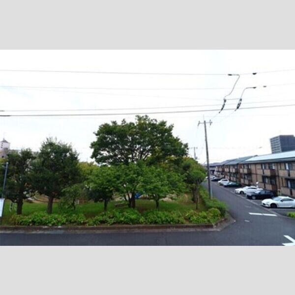 現地周辺 (お部屋からの眺めです。)