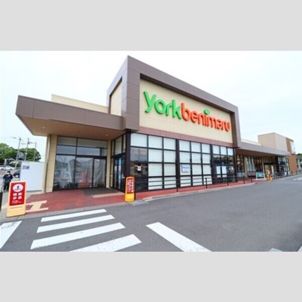 現地周辺 (ヨークベニマル東海店(594m))