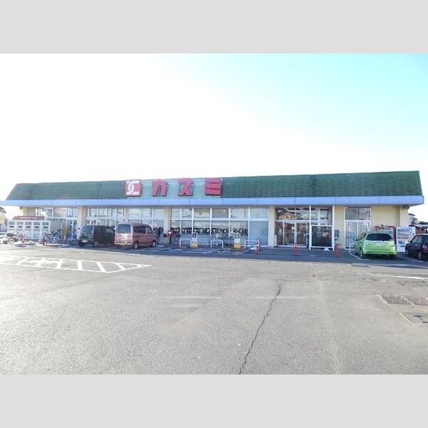 現地周辺 (カスミ津田店(1227m))