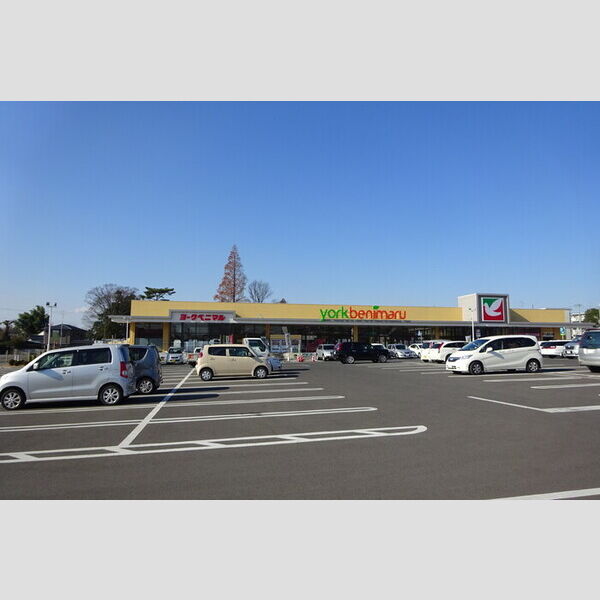 現地周辺 (ヨークベニマル東大島店(615m))
