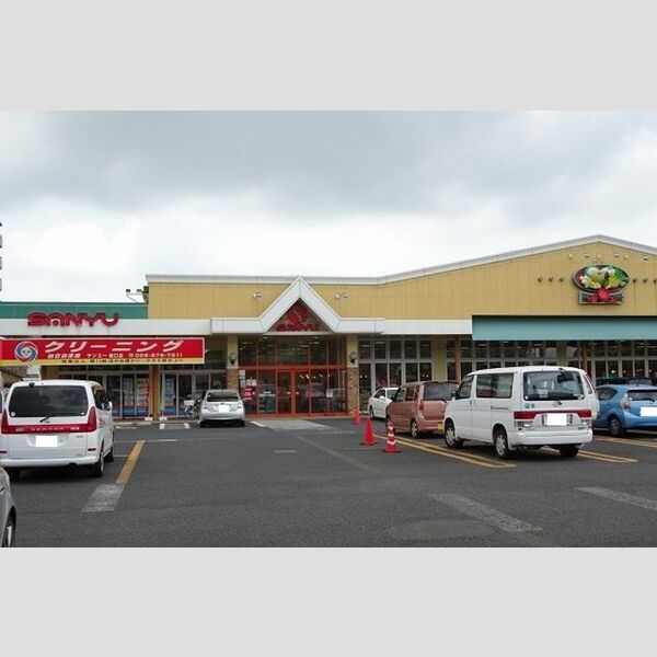 現地周辺 (サンユーストア堀口店(511m))