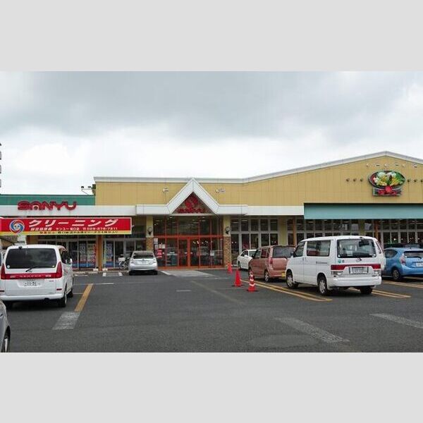 現地周辺 (サンユーストア堀口店(590m))