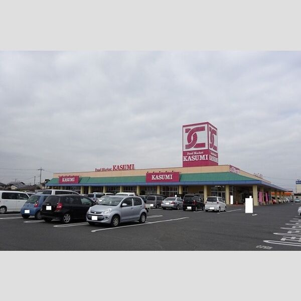 現地周辺 (カスミ那珂店　336m)