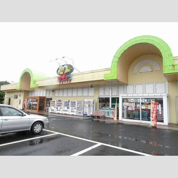 現地周辺 (サンユーストア磯原中央店)