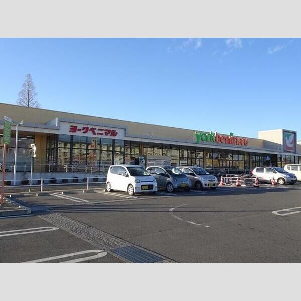 現地周辺 (ヨークベニマル東大島店(535m))