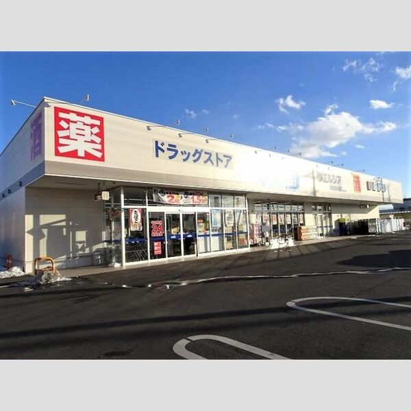 現地周辺 (ウェルシアひたちなか外野店(260m))