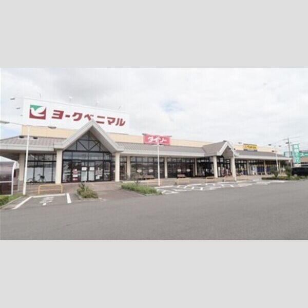 現地周辺 (ヨークベニマル佐和店(1163m))