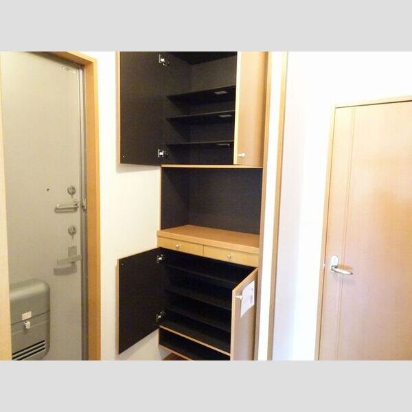 玄関 (トールタイプのシューズボックス内)