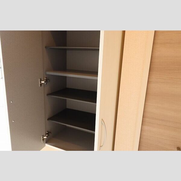 玄関 (シューズボックス内)