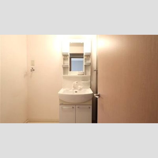 洗面所 (洗髪洗面化粧台)