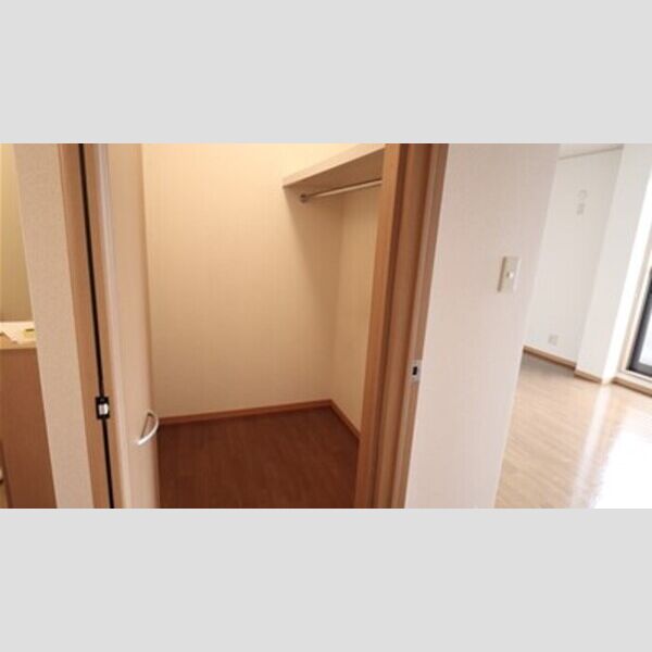 収納 (ウォークインクローゼット)