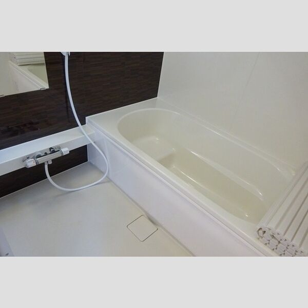 バス (追い焚き給湯式浴室+浴室乾燥機付)